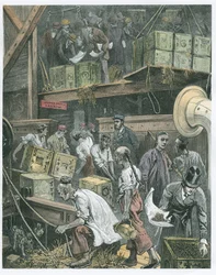 Breaking Bulk on Board a Tea Ship in the London Docks
